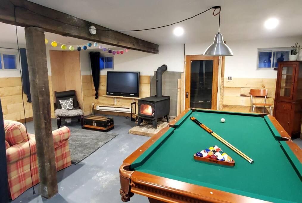 Chalet Nabu L'Ours - Riviere - Billard 圣亚历克西德蒙 外观 照片