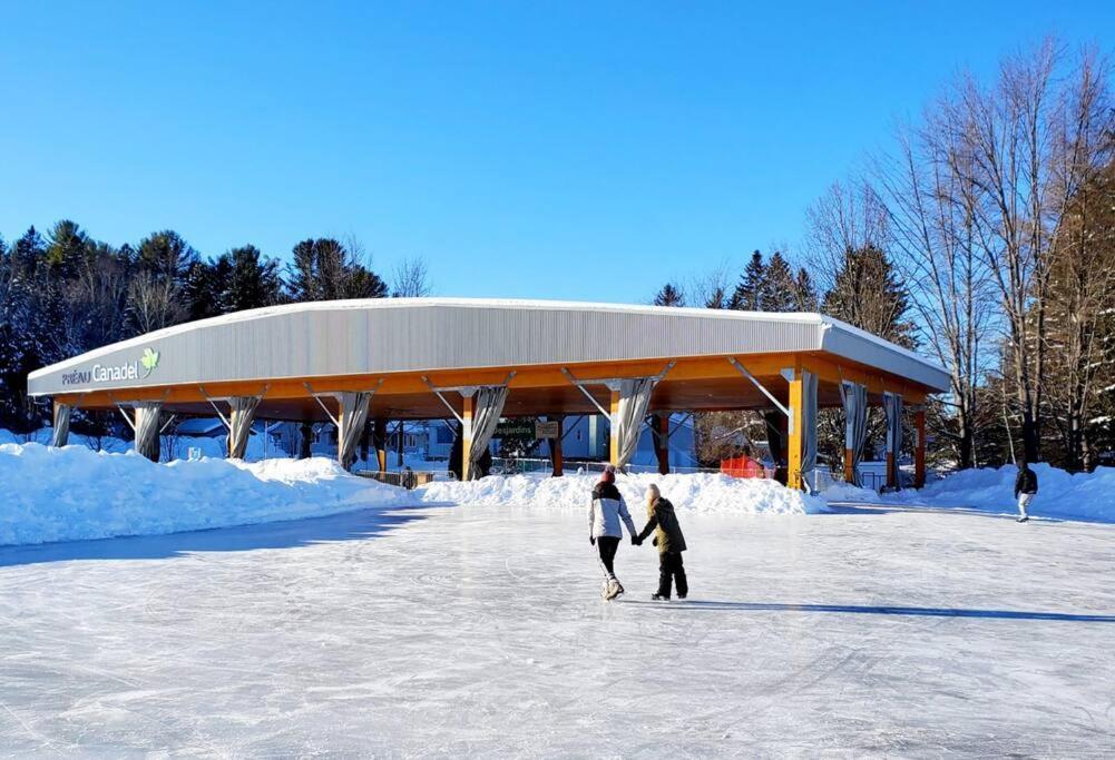 Chalet Nabu L'Ours - Riviere - Billard 圣亚历克西德蒙 外观 照片