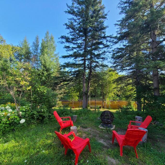 Chalet Nabu L'Ours - Riviere - Billard 圣亚历克西德蒙 外观 照片