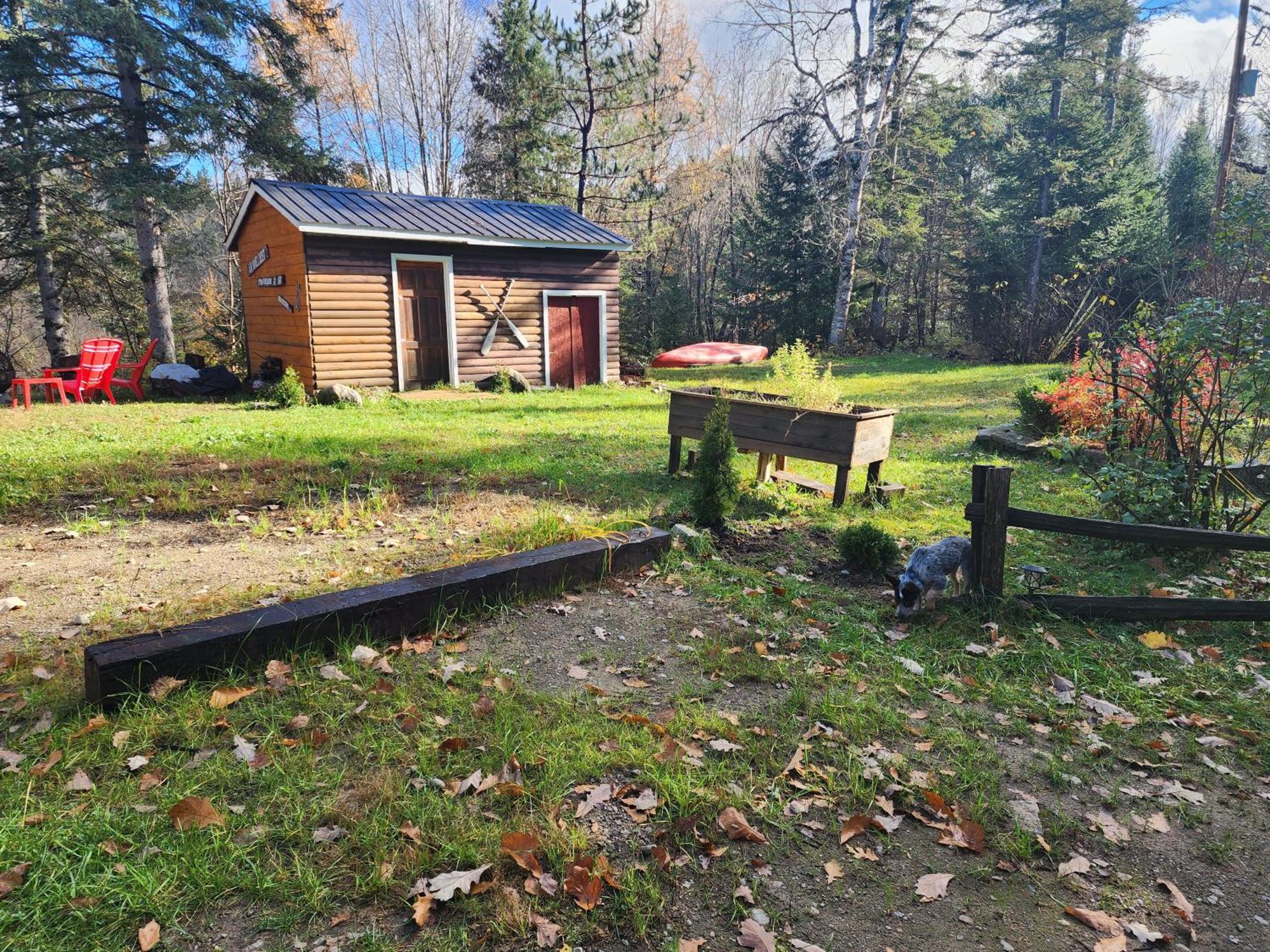 Chalet Nabu L'Ours - Riviere - Billard 圣亚历克西德蒙 外观 照片