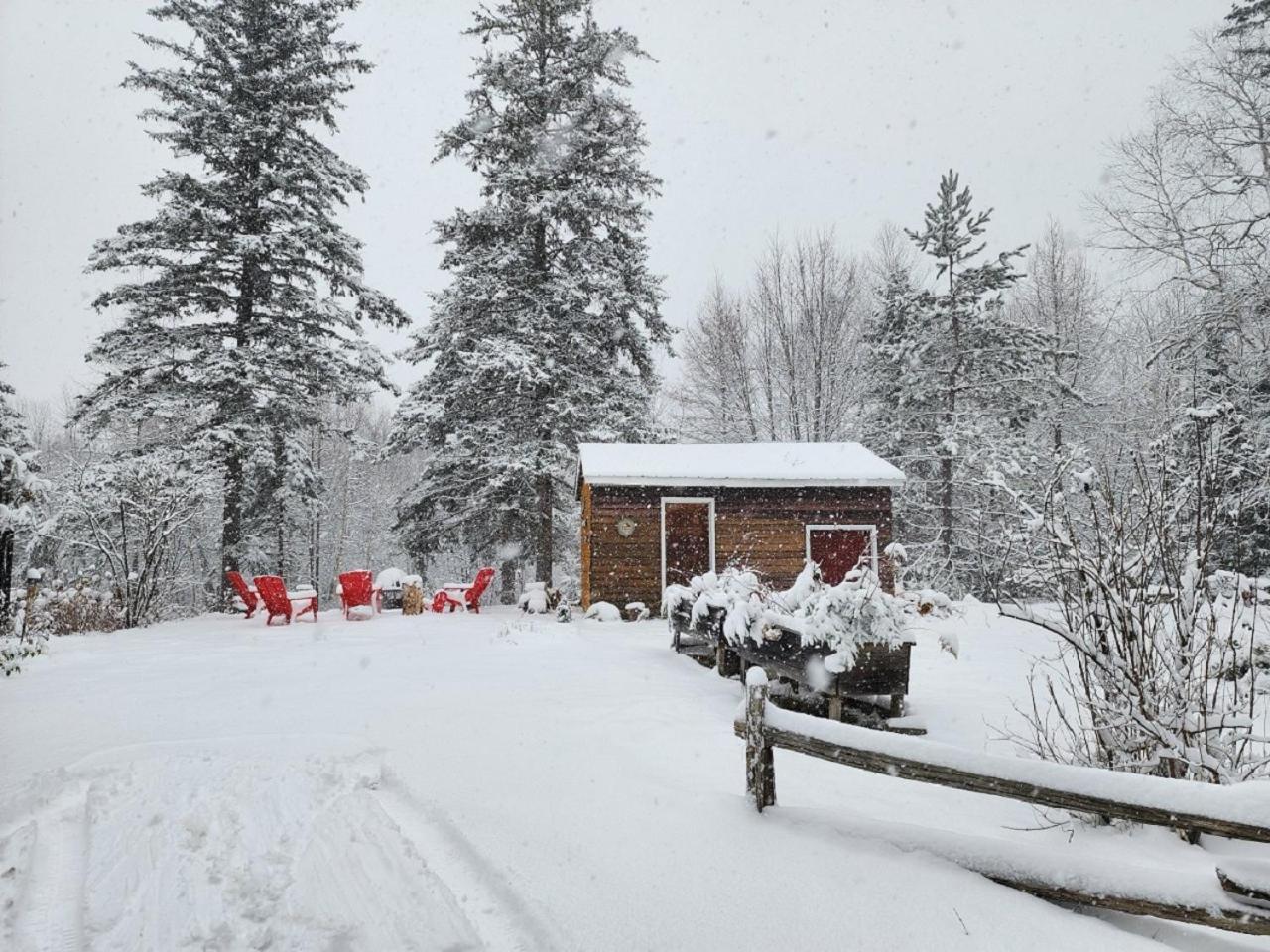 Chalet Nabu L'Ours - Riviere - Billard 圣亚历克西德蒙 外观 照片