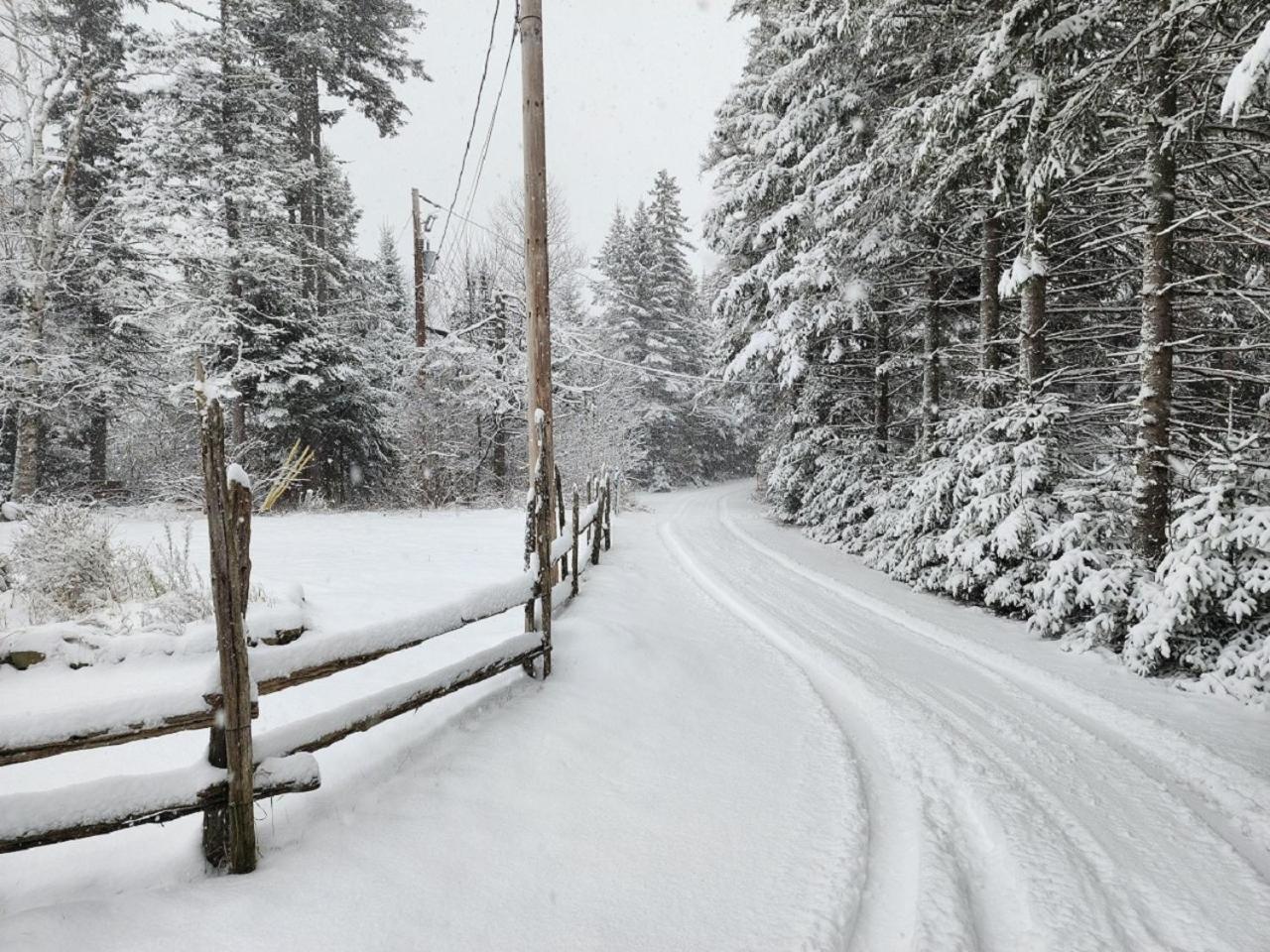 Chalet Nabu L'Ours - Riviere - Billard 圣亚历克西德蒙 外观 照片