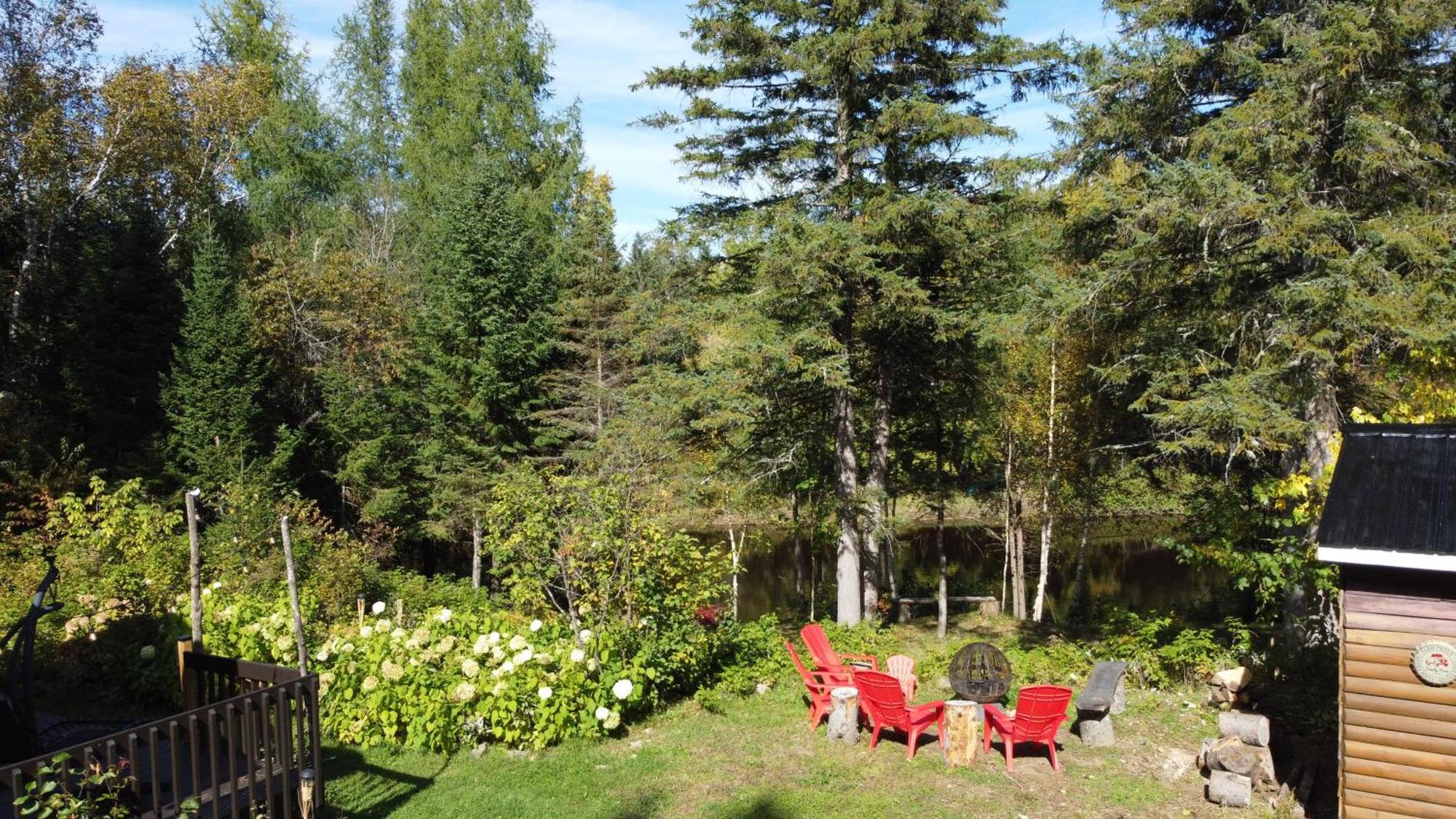 Chalet Nabu L'Ours - Riviere - Billard 圣亚历克西德蒙 外观 照片